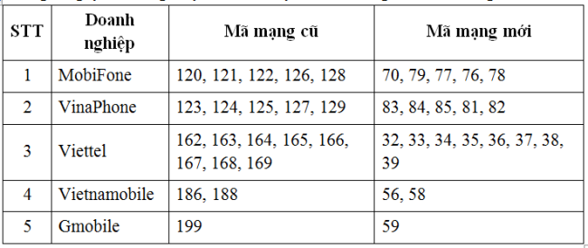Rậm rịch triển khai chuyển đổi mã mạng di động từ 11 số sang 10 số ảnh 1